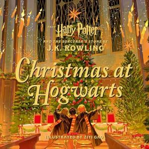 Hogwarts Holiday Celebration Decor Set