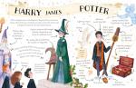 Harry Potter Pocket Guide: Essential Book Insights