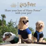 Gryffindor Dog T-Shirt for Harry Potter Fans