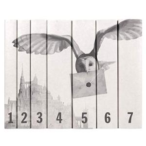 Harry Potter Castle and Owl Boxed Set