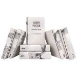 Harry Potter Castle and Owl Boxed Set