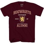 Gryffindor Alumni Seeker Adult T-Shirt - Burgundy