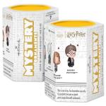 Harry Potter Mystery Christmas Ornaments Set of 2