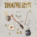 Harry Potter Girls Hogwarts Grey Long Sleeve Tee