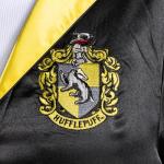 Harry Potter Adult Wizard Robe Costume - Official