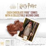 Harry Potter Chocolate Frog with Collectible Card Set