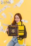 Harry Potter Acceptance Letter Surprise Explosion Box