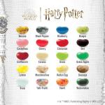 Bertie Bott's Every Flavor Beans - 20 Pack