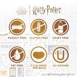 Bertie Bott's Every Flavor Beans - 20 Pack