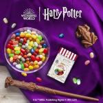 Bertie Bott's Every Flavor Beans - 20 Pack