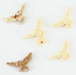 Harry Potter Chocolate Owls Mold and Gift Set