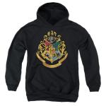 Hogwarts Logo Hoodie for Boys with Stickers