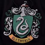 Slytherin Logo Hoodie for Harry Potter Fans