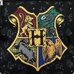 Harry Potter Hogwarts Kids Backpack and Lunch Kit
