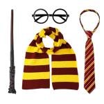Harry Potter Wizard Costume Accessory Set for All Ages