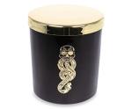 Harry Potter Dark Arts Scented Soy Wax Candle