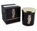 Harry Potter Dark Arts Scented Soy Wax Candle