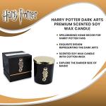 Harry Potter Dark Arts Scented Soy Wax Candle