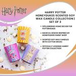 Harry Potter Honeydukes Scented Candle Set of 3