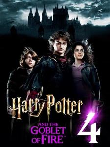 Harry Potter: The Goblet of Fire Book