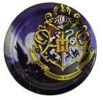 Harry Potter Birthday Party Supplies for 16 Guests