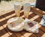 Silver Buffalo Harry Potter Mischief Managed Partyware Set