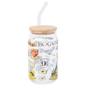 Hogwarts Platform 9 3/4 Gryffindor Hedwig Tumbler