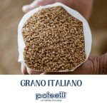 Organic 00 Flour for Neapolitan Pizza & Pasta