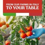 Pomì Pizza Sauce - Fresh Italian Tomato Goodness