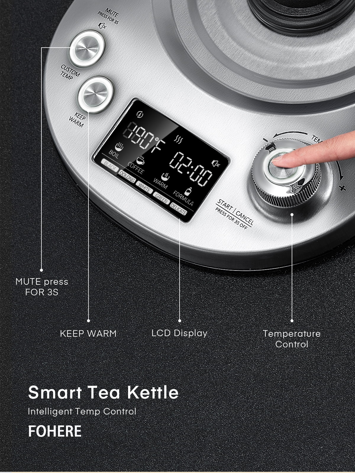 FOHERE Temperature Control Electric Tea Kettle 1.7L