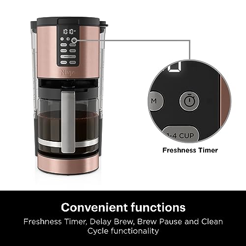 Ninja XL Programmable Coffee Maker with Timer, Copper