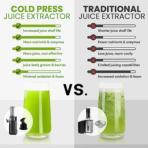 Compact Cold Press Juicer for Nutrient-Dense Juice