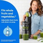 NutriBullet Slow Juicer, GrayClearBlackMulti-color, Model NBJ50300
