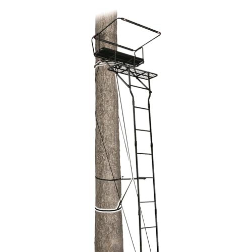 Guide Gear 15' Double Shot Tree Stand for Two