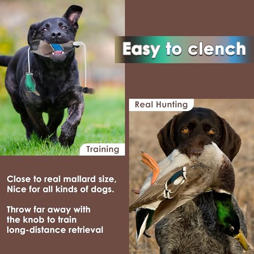 Hunting Dog Training Dummies - 2 Pack Set