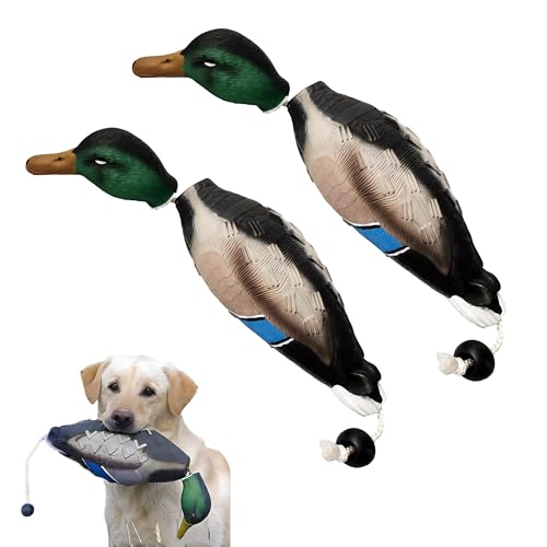 2 Pack Duck Bumper Toys for Dog Training