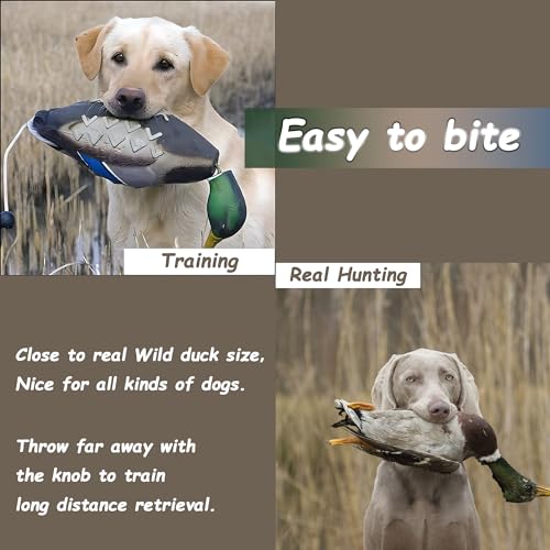 2 Pack Duck Bumper Toys for Dog Training