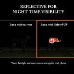 Hi-Visibility Blaze Orange Dog Safety Vest