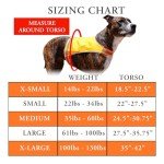 Blaze Orange Reflective Dog Vest for Hunting