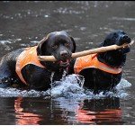 Blaze Orange Reflective Dog Vest for Hunting
