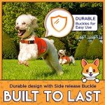 Hi-Vis Fluorescent Orange Reflective Dog Vest