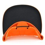 Blaze It Up Bear Charcoal Snapback Cap