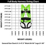 Safety Harness with Shock Absorbing Lanyard