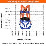 Full Body Safety Harness with Shock Absorbing Lanyard