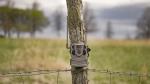 Tactacam Reveal Gen X 2.0 Cellular Trail Camera