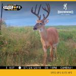 Browning Spec Ops Elite HP5 Game Camera