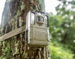 Bushnell Prime Low Glow Trail Camera - 24MP HD Video