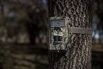 Bushnell Trophy Trail Camera 20MP with Night Vision