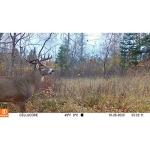 Bushnell CelluCORE 20 AT&T Trail Camera with Night Vision