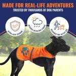Hi-Visibility Blaze Orange Dog Safety Vest